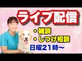 定例ライブ配信　犬のしつけについてや雑談をしましょう！