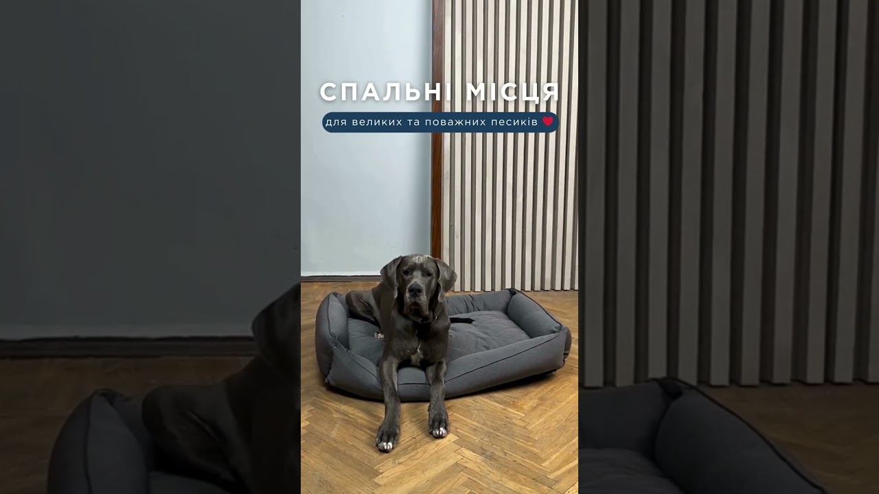 Лежак для собаки Sofa Gray Лежак для собаки Sofa Gray