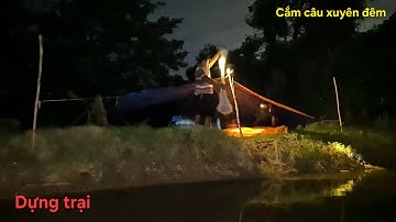 Dựng trại cắm câu xuyên đêm || Kênh LỤC BÌNH cá còn rất nhiều