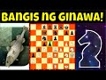 Bangis ng ginawa! || Computer Chess Battles 24 || Chess.com