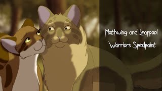 Mothwing and Leafpool | Warriors Speedpaint