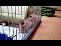 猫用 カルカン パウチタイプ まぐろ 70g×8袋 [12ヶ月までの子ねこ用]