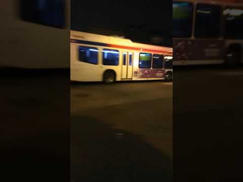 Septa 8604 on route H