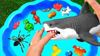 Learn With Wild Animals Toys - Sharks In Blue Water Tub - Toys For Kids