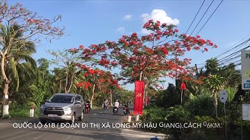 Quốc lộ 61.Đoạn cừ cầu vượt Mương Lộ đến ngã 3 Vĩnh Tường.Vị Thủy.Hậu Giang.Ngô Long 05.2020.