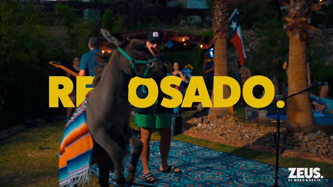 Reposado (Accordion Player Tryouts)  - ZEUS. El Mero Necio