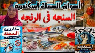 حملة مقاطعة الأسماك| من أسواق إسكندرية|سوق السمك|باب عمر باشا