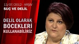 Ölümün kaçıncı evresinde hangi böcek gelir? - Suç ve Delil