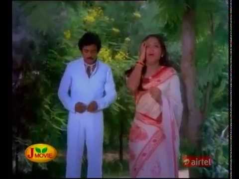 Neeril Oru Thamarai Song Lyrics on YouTube