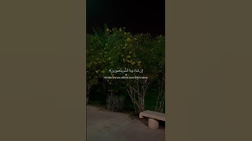 سلمان العتيبي | سورة هود