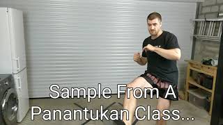 Exclusive Sample from a Panantukan Live Class!