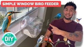 Window bird feeder DIY #bestbirdfeeder #kirklandsignature #costco #birds #birdslover #birdfeeder