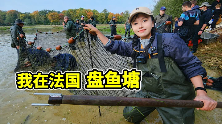 French Fish-Catching Challenge: Hauling in a Ton of Fish—How Much Can You Earn? | Fish-Catching |