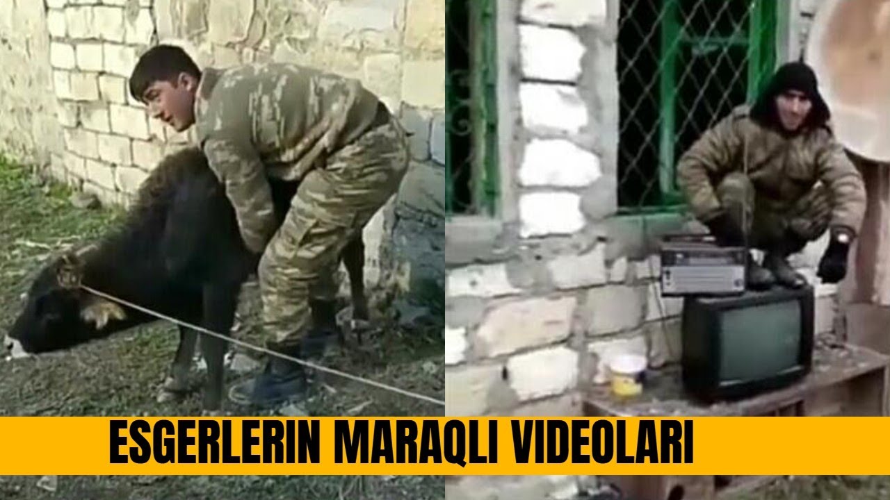 QARABADA ESGERLERMZN MARAQL VE GLMEL VDEOLAResgerlerimizin maceralari