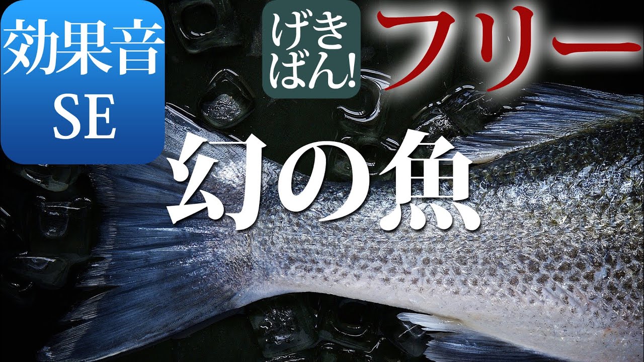 著作権フリー 効果音 Se 魚 水 泳ぐ 海 移動 幻の魚 商用可 無料 動画制作 動画の効果音 Youtube