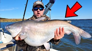 OMG WTF did this Catfish Eat HILARIOUS FAT FISH