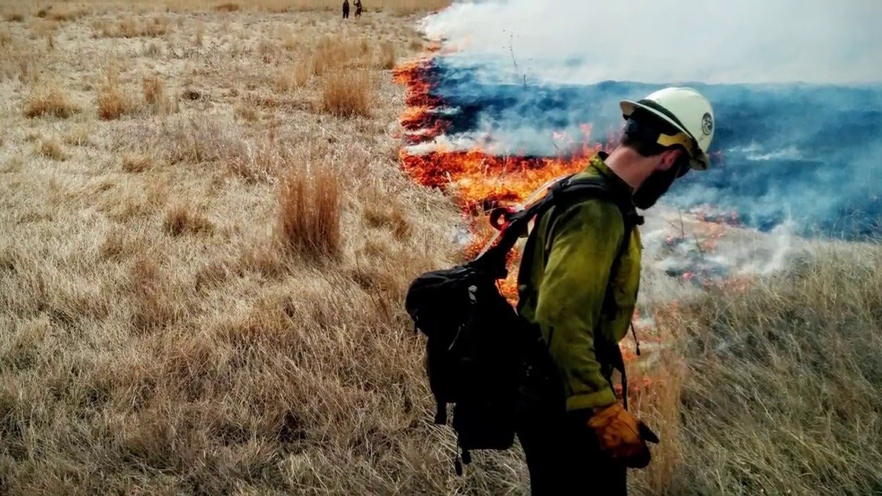 Niobrara Valley Preserve Prescribed Fire TREX 2016 YouTube