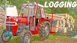 Log driving in the mountains with IMT 539