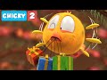 Where's Chicky? NEW SEASON 2 | THE GIFTS | Chicky Cartoon in English for Kids