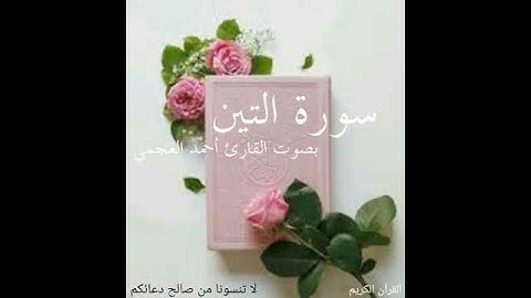 سورة التين _ بصوت القارئ الشيخ أحمد العجمي