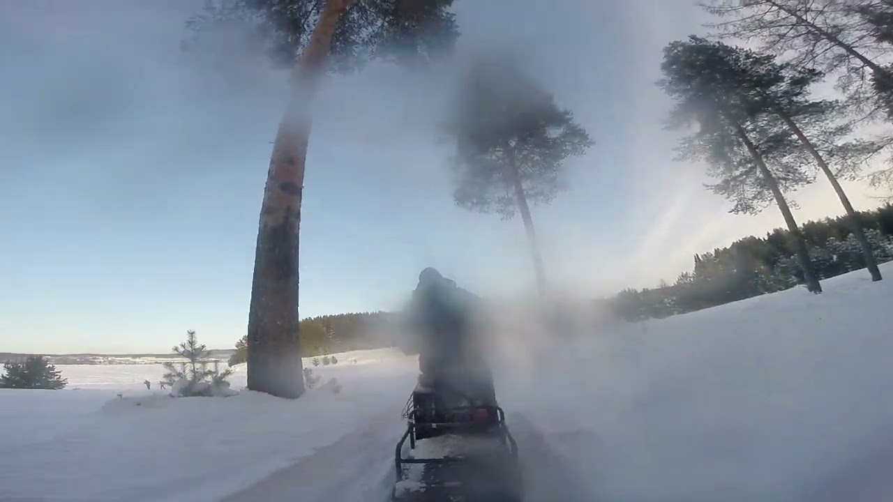 Зимние покатушки на мотособаке часть 1