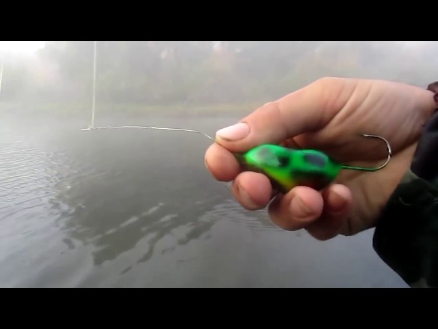 Видео о рыбалке №151