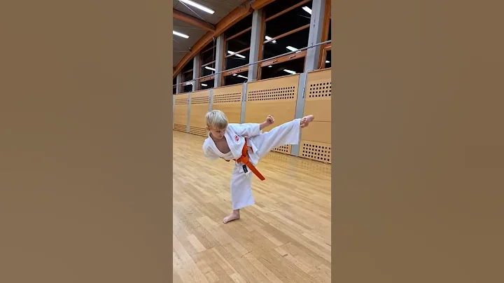 Nathaniel Lang karate kicks