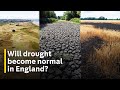 Drought declared across eight areas of England