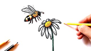 Как нарисовать пчелу поэтапно | Учимся рисовать