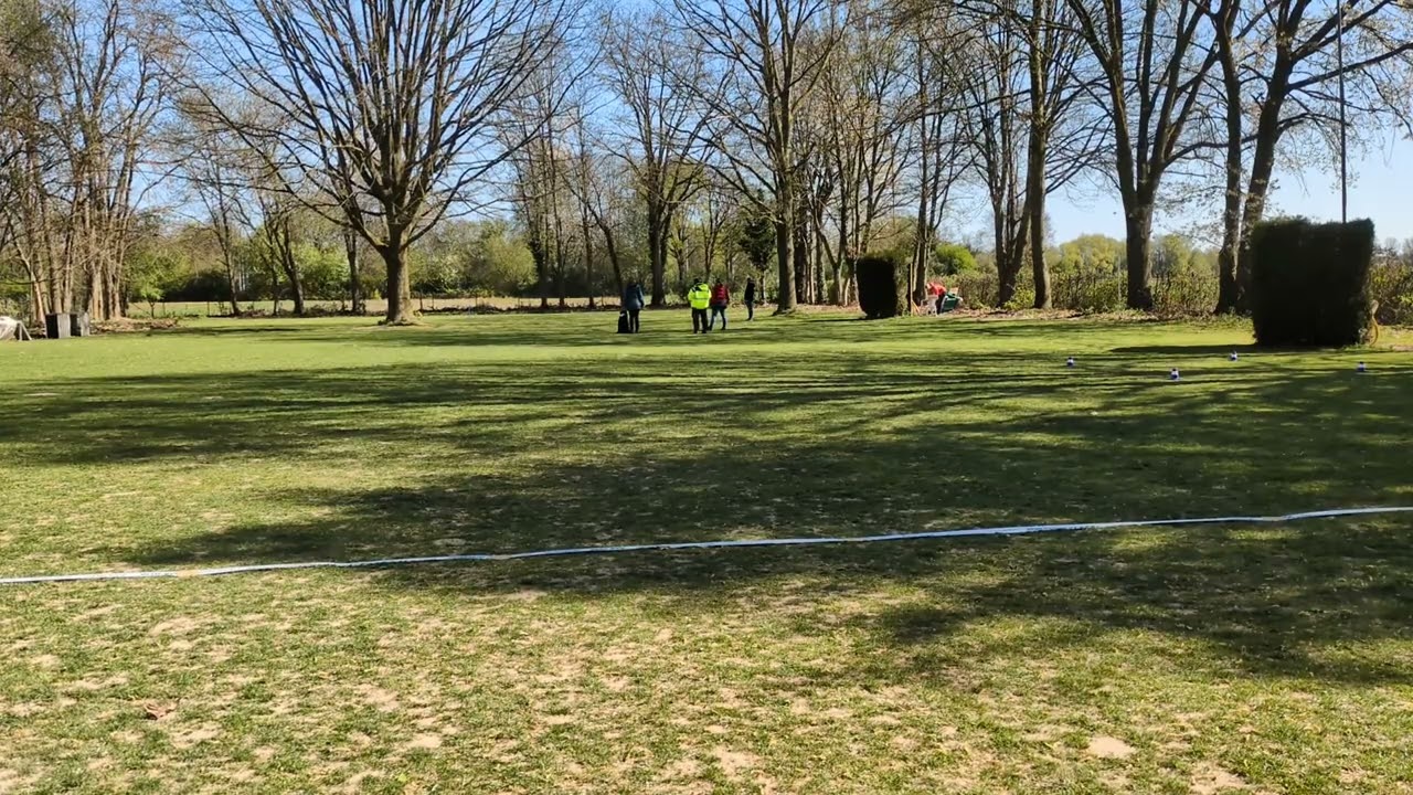 Ty am 06.04.2025 in der Obedience Senioren Klasse