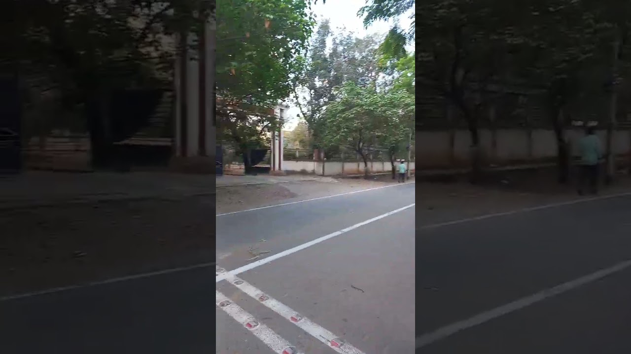 mgr film institute chennai tharamani