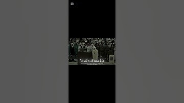 سوره لقمان القرائ ياسر الدوسري