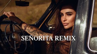 Señorita Remix - Shawn Mendes, Camila Cabello Resimi