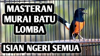 MASTERAN MURAI BATU FULL ISIAN TEMBAKAN MEWAH, CILILIN KENARI GEREJA CUNGKOK CIGUN LOVEBIRD KATEM