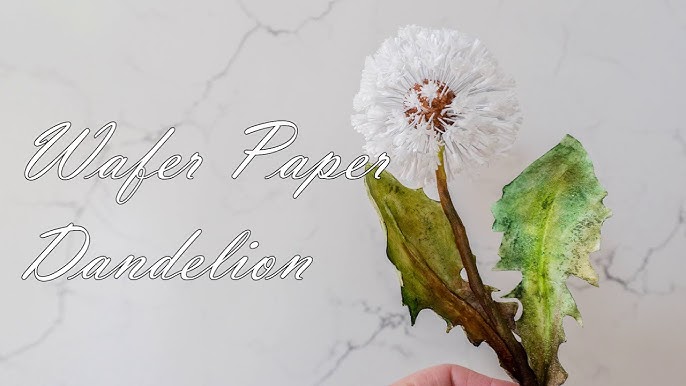 How to make pom pom flowers out of wafer paper - Akiko WhiteAkiko White