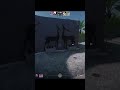 ❤️СЫГРАЛ ПО SEMI RAGE В НАПАРНИКАХ // ОБНОВЛЕННЫЙ CFG [MEMESENSE] ❤️ #cs2