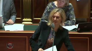 Le Sénat adopte le projet de loi « Production d'énergies renouvelables »  Séance du 4-11-22 (soir)