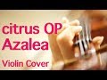 “citrus” OP “Azalea” (アザレア) / nano.RIPE (Anime Violin Cover)