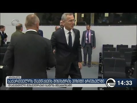 ლევან იზორია დღეს ნატოს გენერალურ მდივანს შეხვდება
