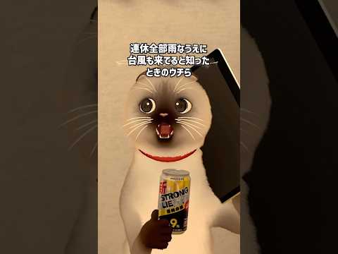 連休全部雨で台風すら来てることを知った時のウチら #VRChat #にゃにゃまる #男性VTuber