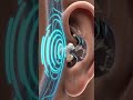 sound waves enterning #nothingimposibleinthisworld #science