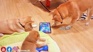 Shiro didn't accept me switching off the game. Such a cute puppy at heart ❤️