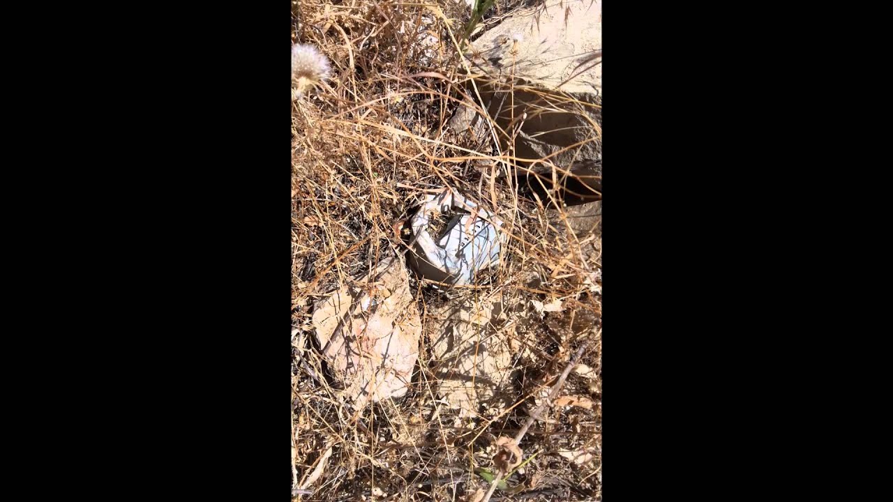 Cewlik Xolxol Cug-Orig (Usufxan- Seman)  Havin 2015