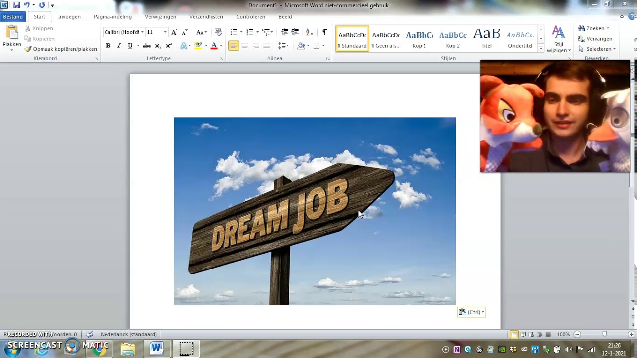 Paragraaf 3.2: Vast of tijdelijk werk? (3/3) - YouTube