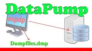 [Solved] EXPDP, How to store dumpfiles at LOCAL COMPUTER ?