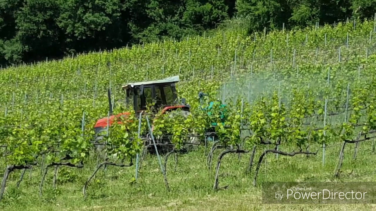 TRATTAMENTO FUNGICIDA AL VIGNETO | SAME EXPLORER 2 + ATOMIZZATORE