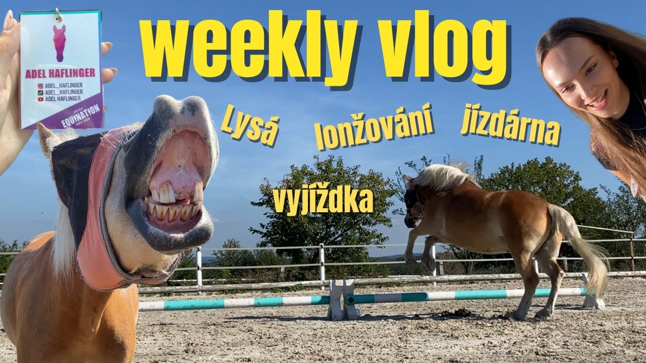Byla to jízda! | WEEKLY VLOG