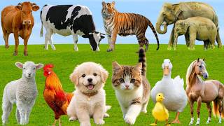 🌿 Discover Charming Farm Friends: Cow, Sheep, Duck, Pig, Horse, Dog, Cat – Peaceful Country Sounds screenshot 1