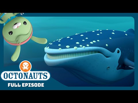 The Loneliest Whale