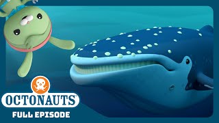 octonauts the loneliest whale season 4 full episode cartoons for kids
